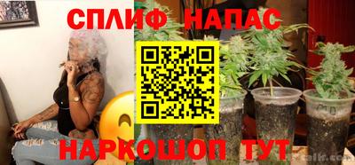 мдпв Обь