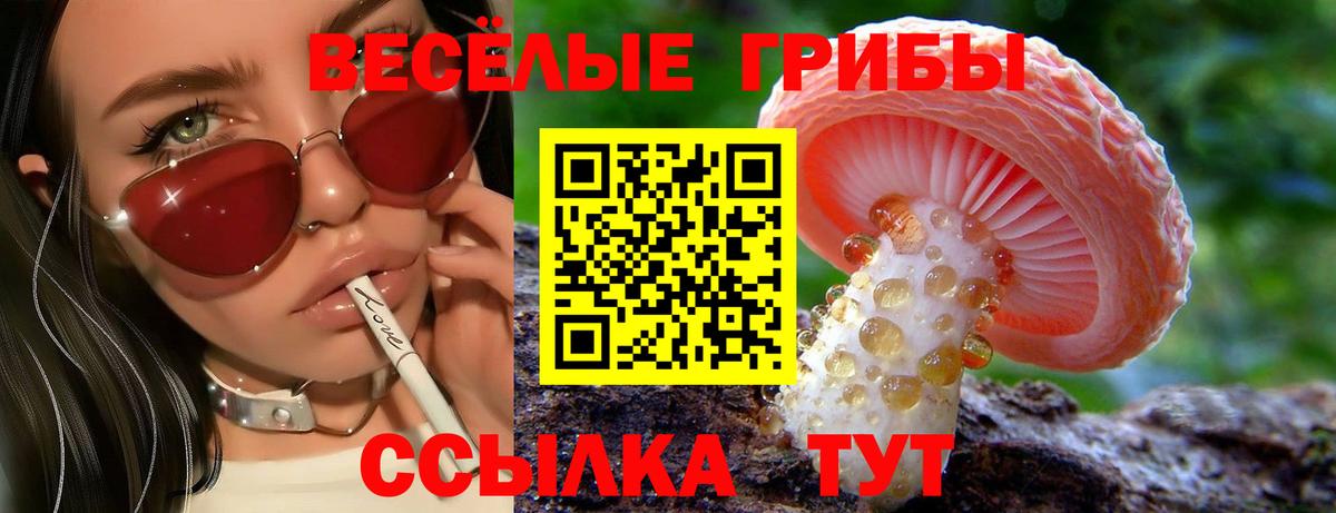 Чистополь  купить наркотик  Вход с VPN  Галлюциногенные грибы мицелий 